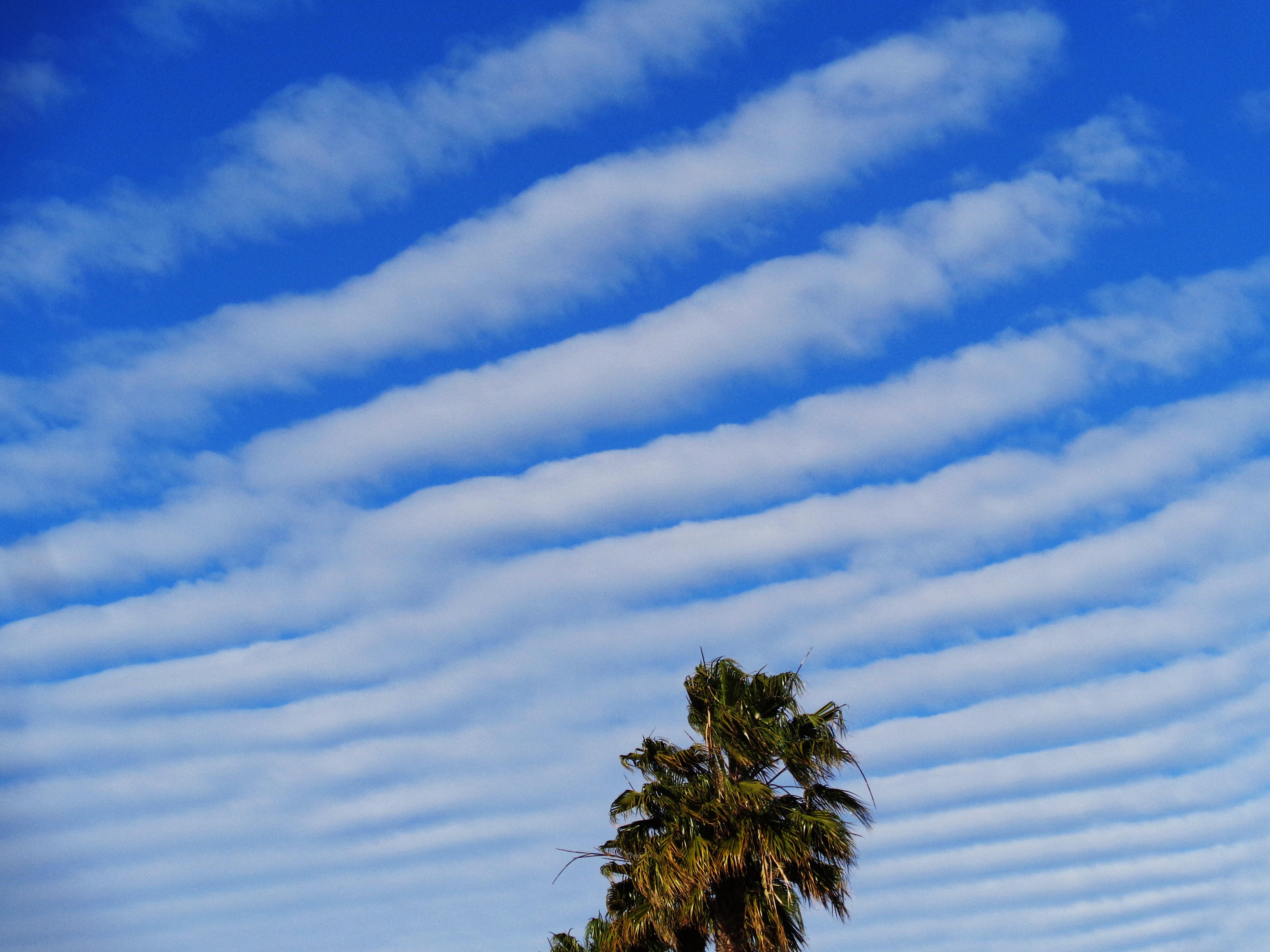 Rayas en el cielo